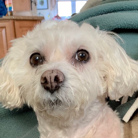 Meet your Posher, Christina - Picture 1 of 1